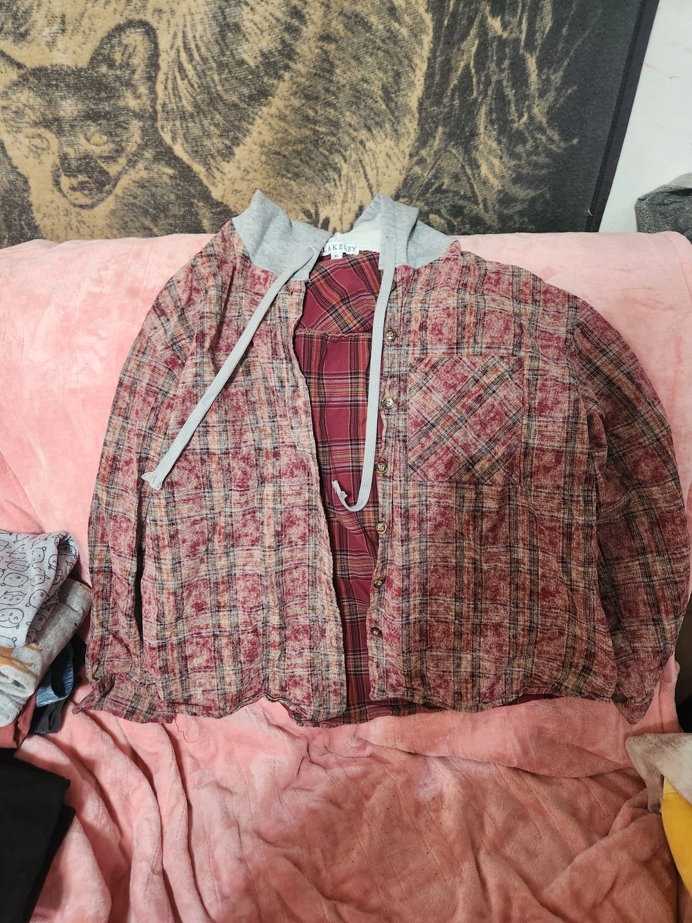 Women's Plaid Button-Down Shirt with Hood - Red Plaid